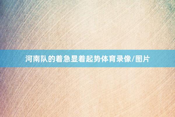 河南队的着急显着起势体育录像/图片